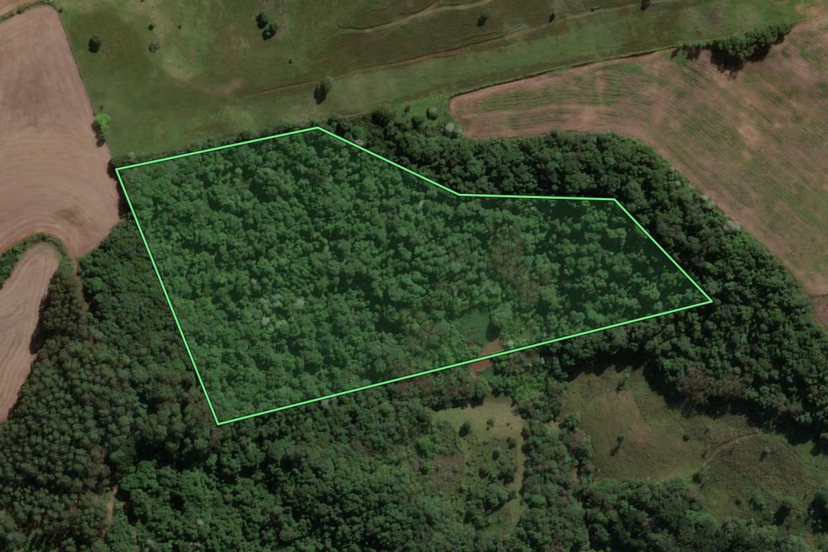 Imagem de satélite do imóvel rural em Ipira (SC), com o contorno declarado no CAR desenhado por cima.
