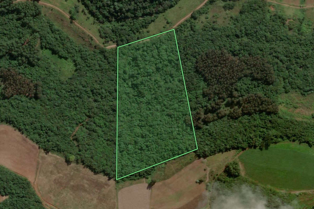 Imagem de satélite do imóvel rural em Ipira (SC), com o contorno declarado no CAR desenhado por cima.