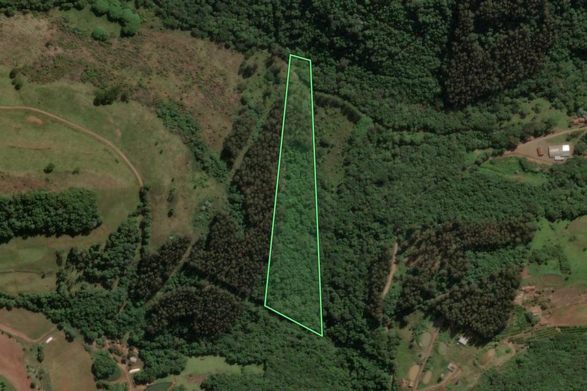 Imagem de satélite do imóvel rural em Ipira (SC), com o contorno declarado no CAR desenhado por cima.