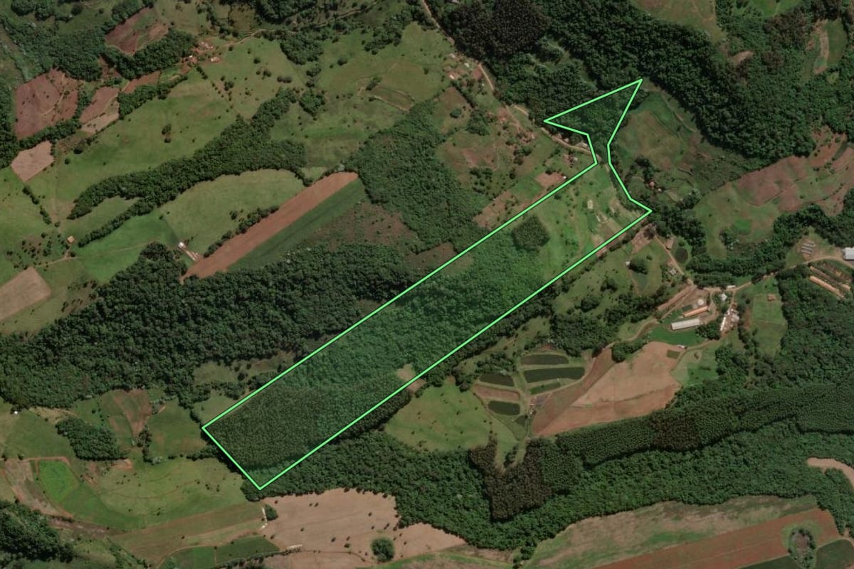 Imagem de satélite do imóvel rural em Ipira (SC), com o contorno declarado no CAR desenhado por cima.