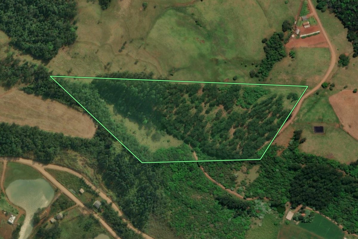 Imagem de satélite do imóvel rural em Iporã do Oeste (SC), com o contorno declarado no CAR desenhado por cima.