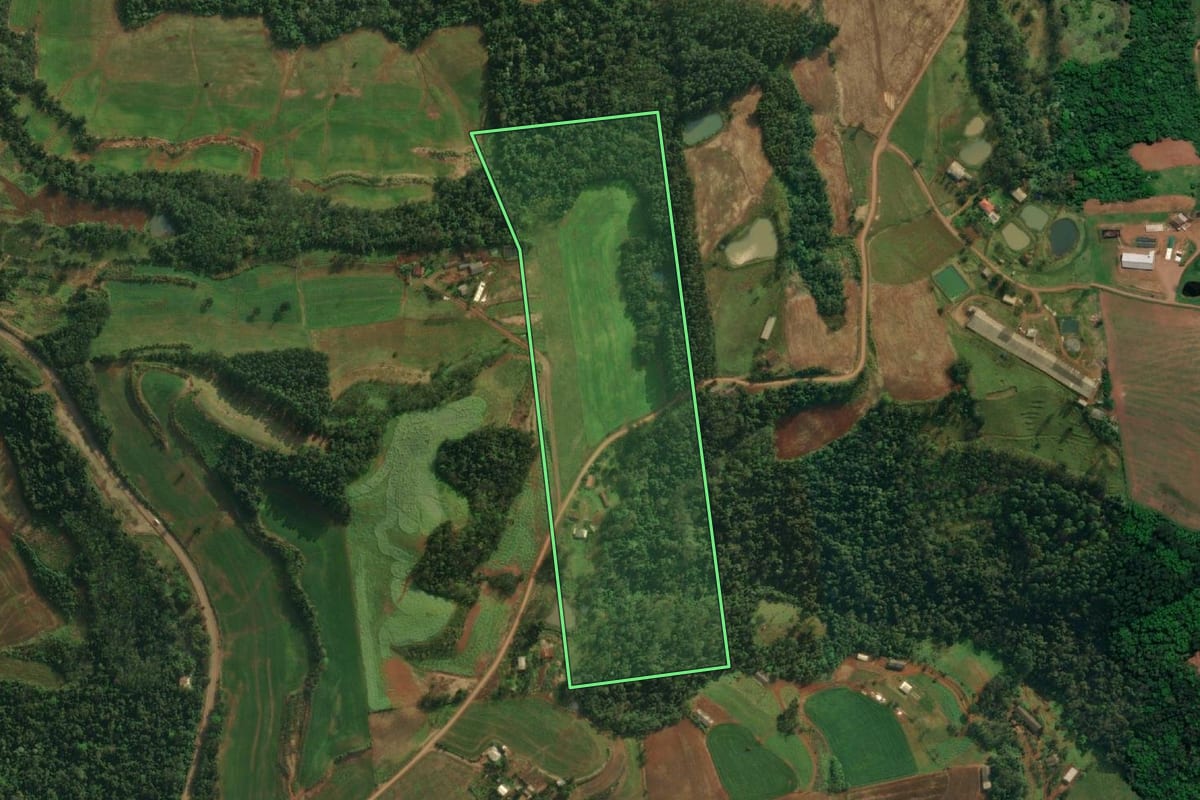 Imagem de satélite do imóvel rural em Iporã do Oeste (SC), com o contorno declarado no CAR desenhado por cima.