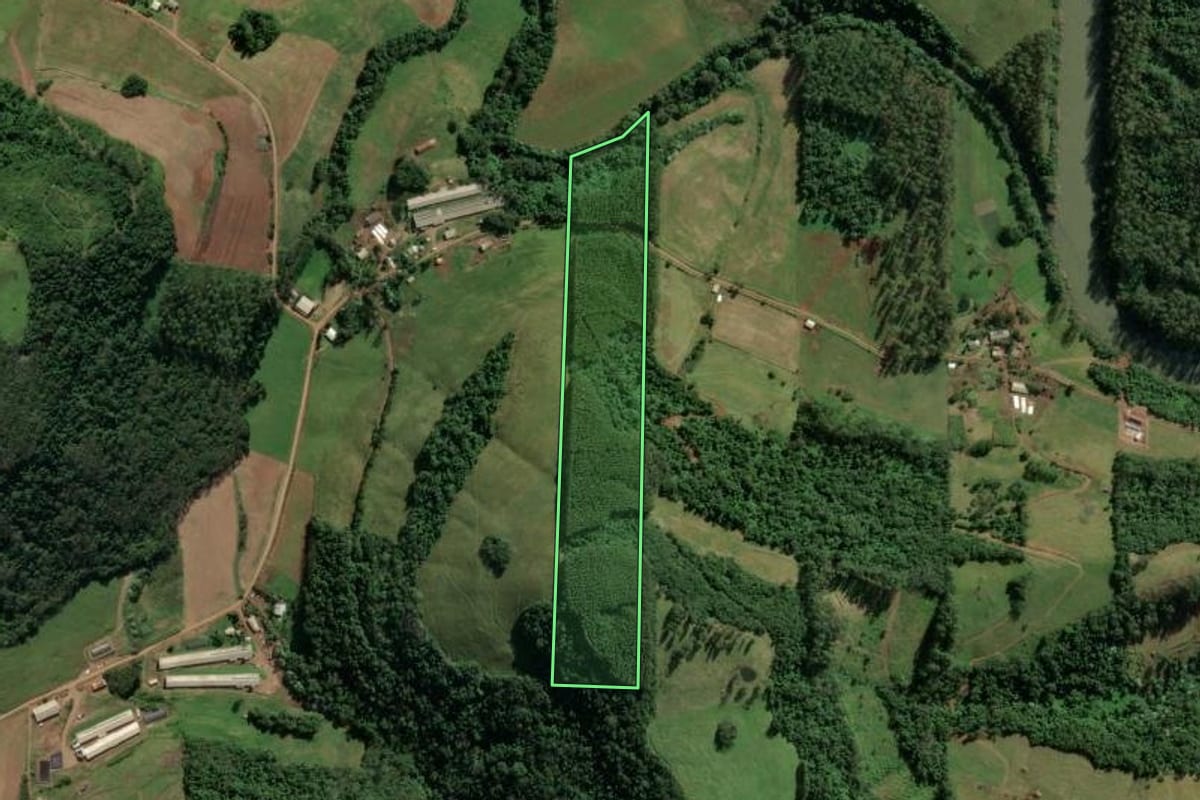 Imagem de satélite do imóvel rural em Iporã do Oeste (SC), com o contorno declarado no CAR desenhado por cima.