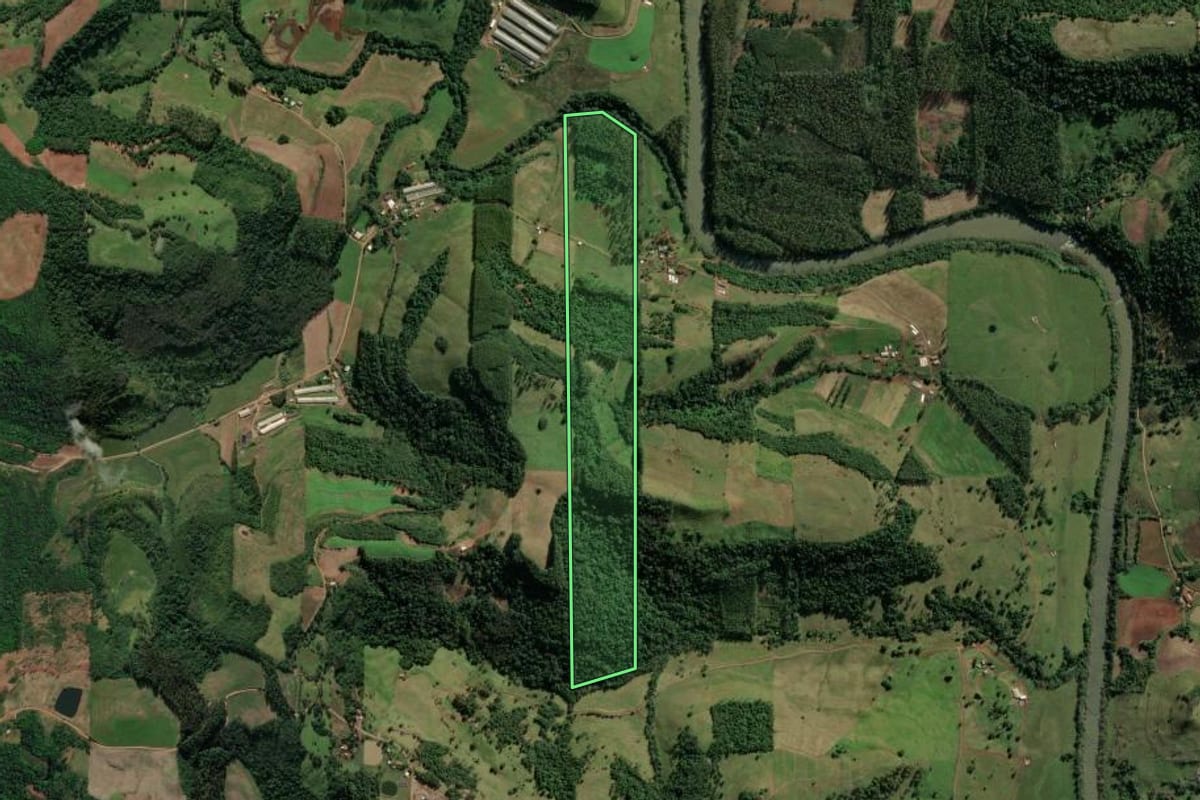 Imagem de satélite do imóvel rural em Iporã do Oeste (SC), com o contorno declarado no CAR desenhado por cima.