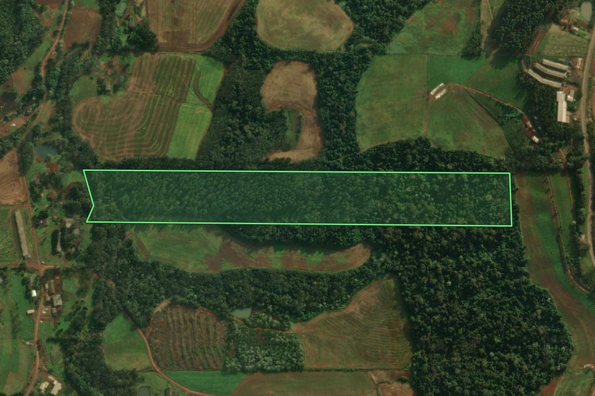 Imagem de satélite do imóvel rural em Iporã do Oeste (SC), com o contorno declarado no CAR desenhado por cima.