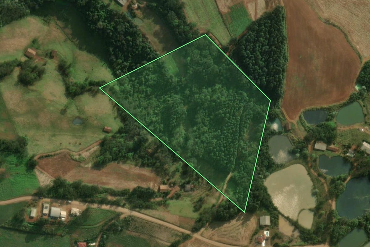 Imagem de satélite do imóvel rural em Iporã do Oeste (SC), com o contorno declarado no CAR desenhado por cima.
