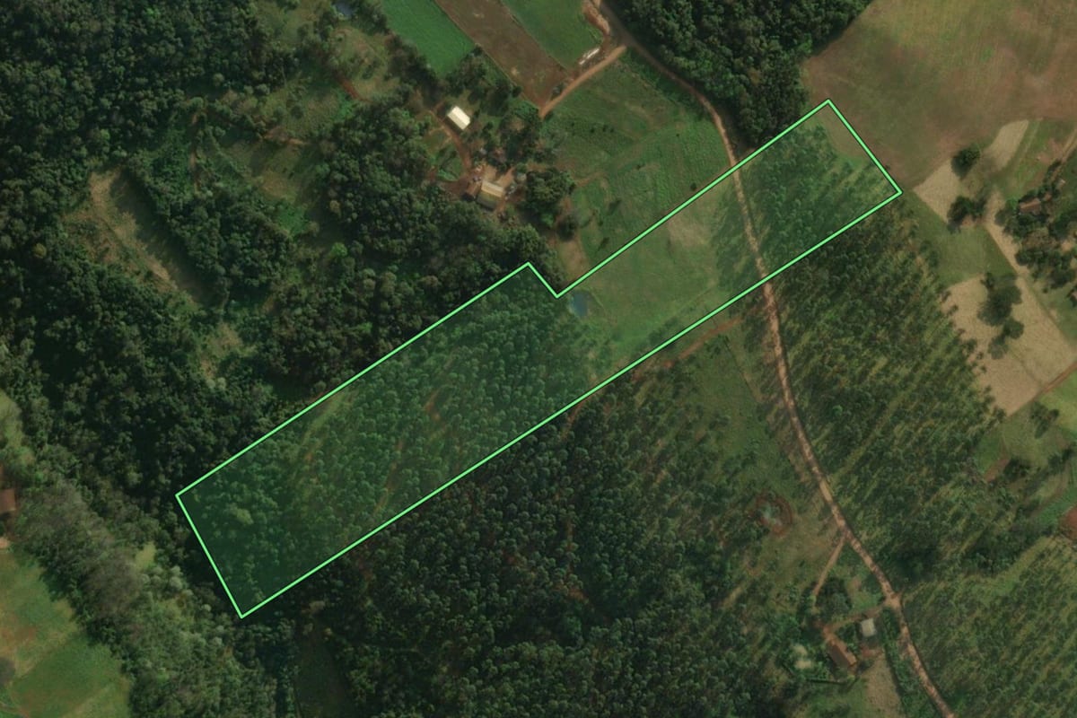 Imagem de satélite do imóvel rural em Iporã do Oeste (SC), com o contorno declarado no CAR desenhado por cima.