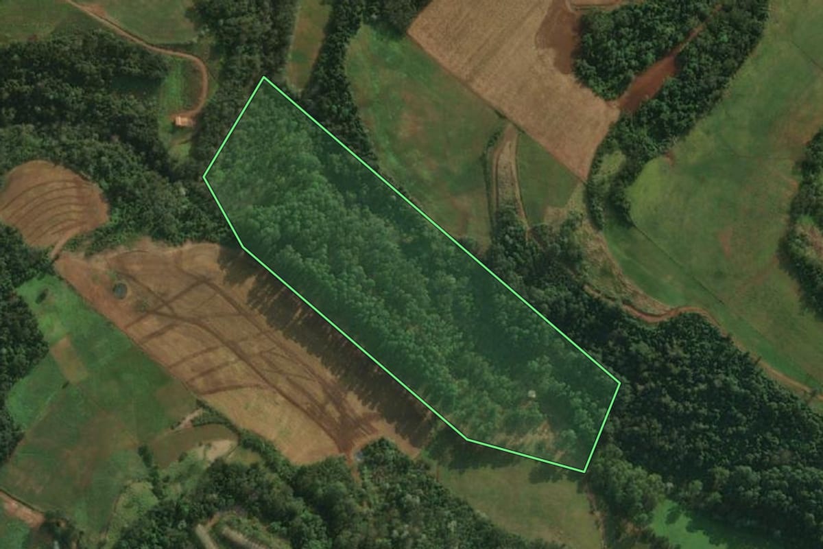 Imagem de satélite do imóvel rural em Iporã do Oeste (SC), com o contorno declarado no CAR desenhado por cima.