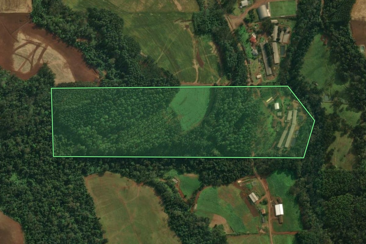 Imagem de satélite do imóvel rural em Iporã do Oeste (SC), com o contorno declarado no CAR desenhado por cima.