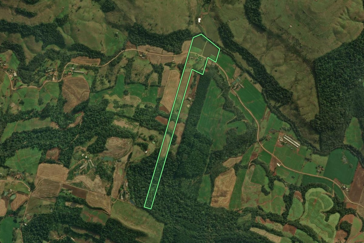 Imagem de satélite do imóvel rural em Iporã do Oeste (SC), com o contorno declarado no CAR desenhado por cima.
