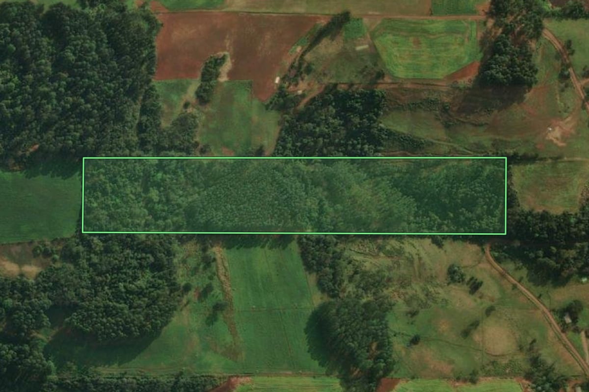Imagem de satélite do imóvel rural em Iporã do Oeste (SC), com o contorno declarado no CAR desenhado por cima.