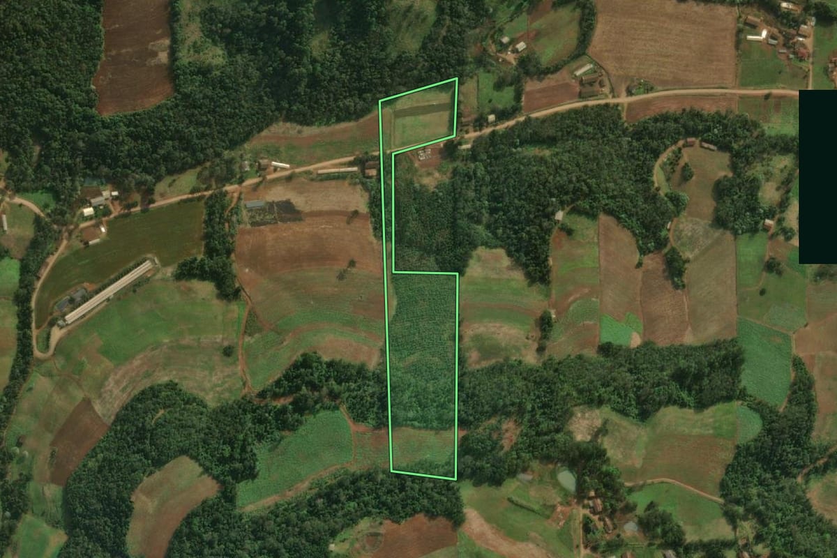 Imagem de satélite do imóvel rural em Iporã do Oeste (SC), com o contorno declarado no CAR desenhado por cima.
