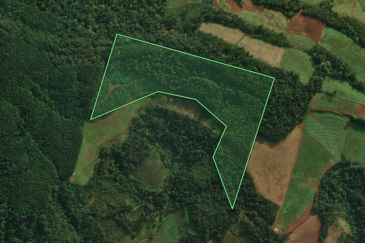 Imagem de satélite do imóvel rural em Iporã do Oeste (SC), com o contorno declarado no CAR desenhado por cima.