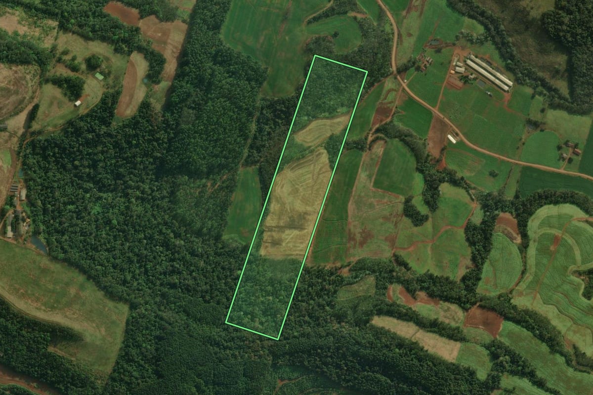Imagem de satélite do imóvel rural em Iporã do Oeste (SC), com o contorno declarado no CAR desenhado por cima.