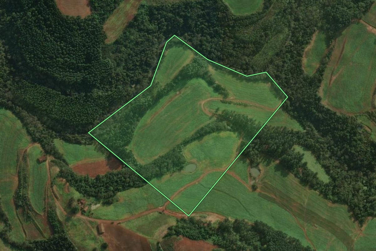 Imagem de satélite do imóvel rural em Iporã do Oeste (SC), com o contorno declarado no CAR desenhado por cima.