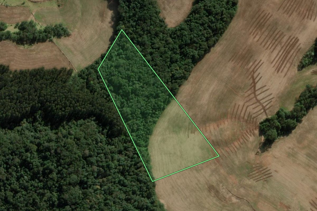 Imagem de satélite do imóvel rural em Ipuaçu (SC), com o contorno declarado no CAR desenhado por cima.
