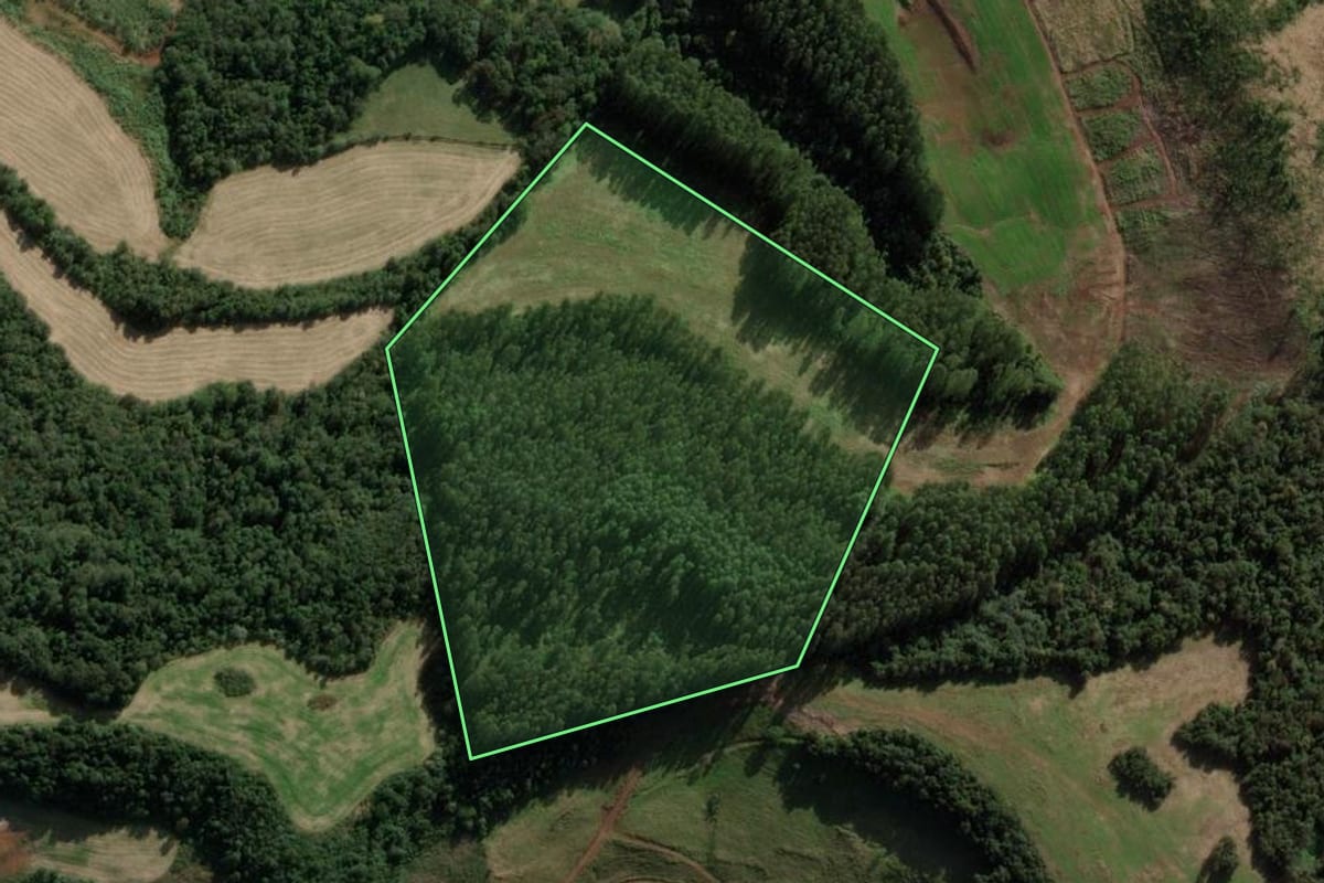 Imagem de satélite do imóvel rural em Ipuaçu (SC), com o contorno declarado no CAR desenhado por cima.