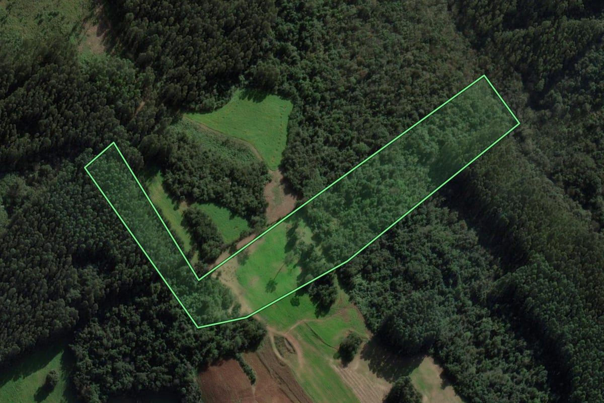 Imagem de satélite do imóvel rural em Ipuaçu (SC), com o contorno declarado no CAR desenhado por cima.