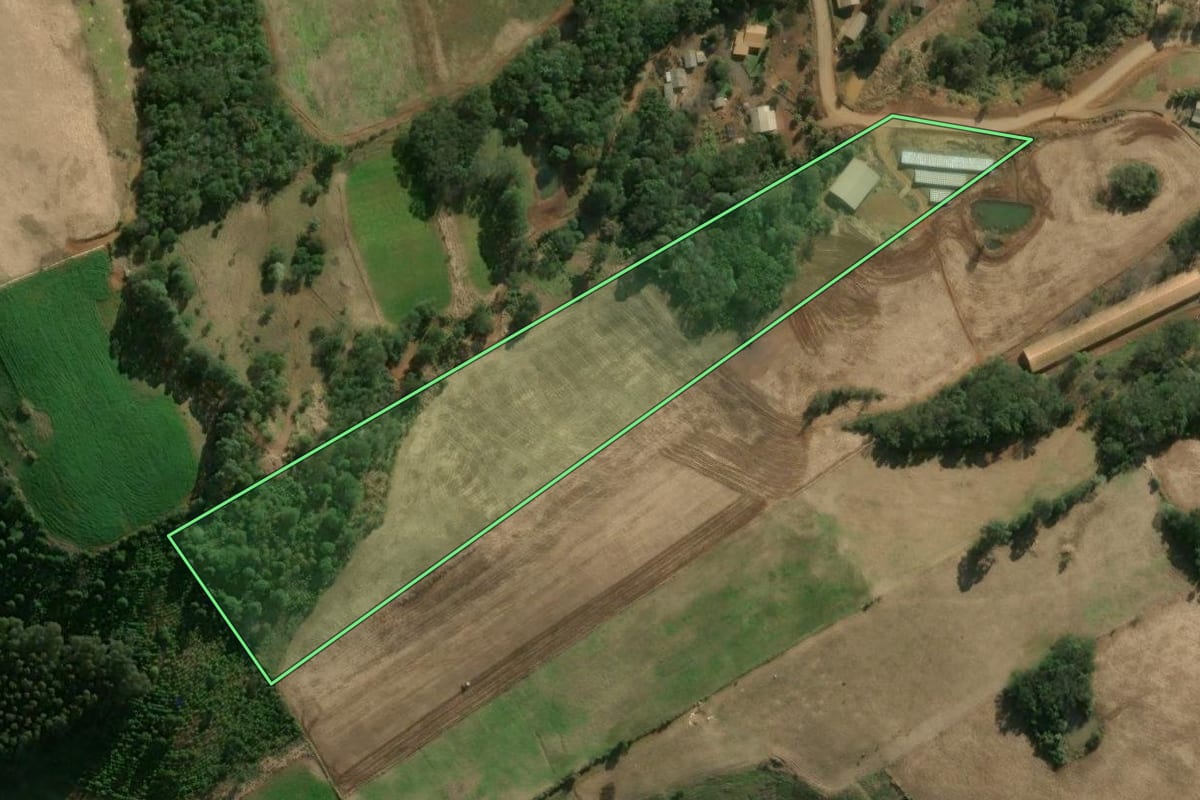 Imagem de satélite do imóvel rural em Ipumirim (SC), com o contorno declarado no CAR desenhado por cima.