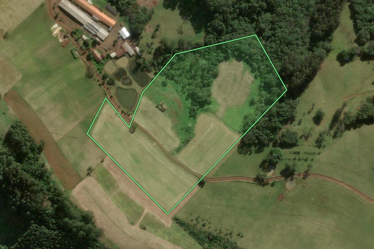 Imagem de satélite do imóvel rural em Ipumirim (SC), com o contorno declarado no CAR desenhado por cima.