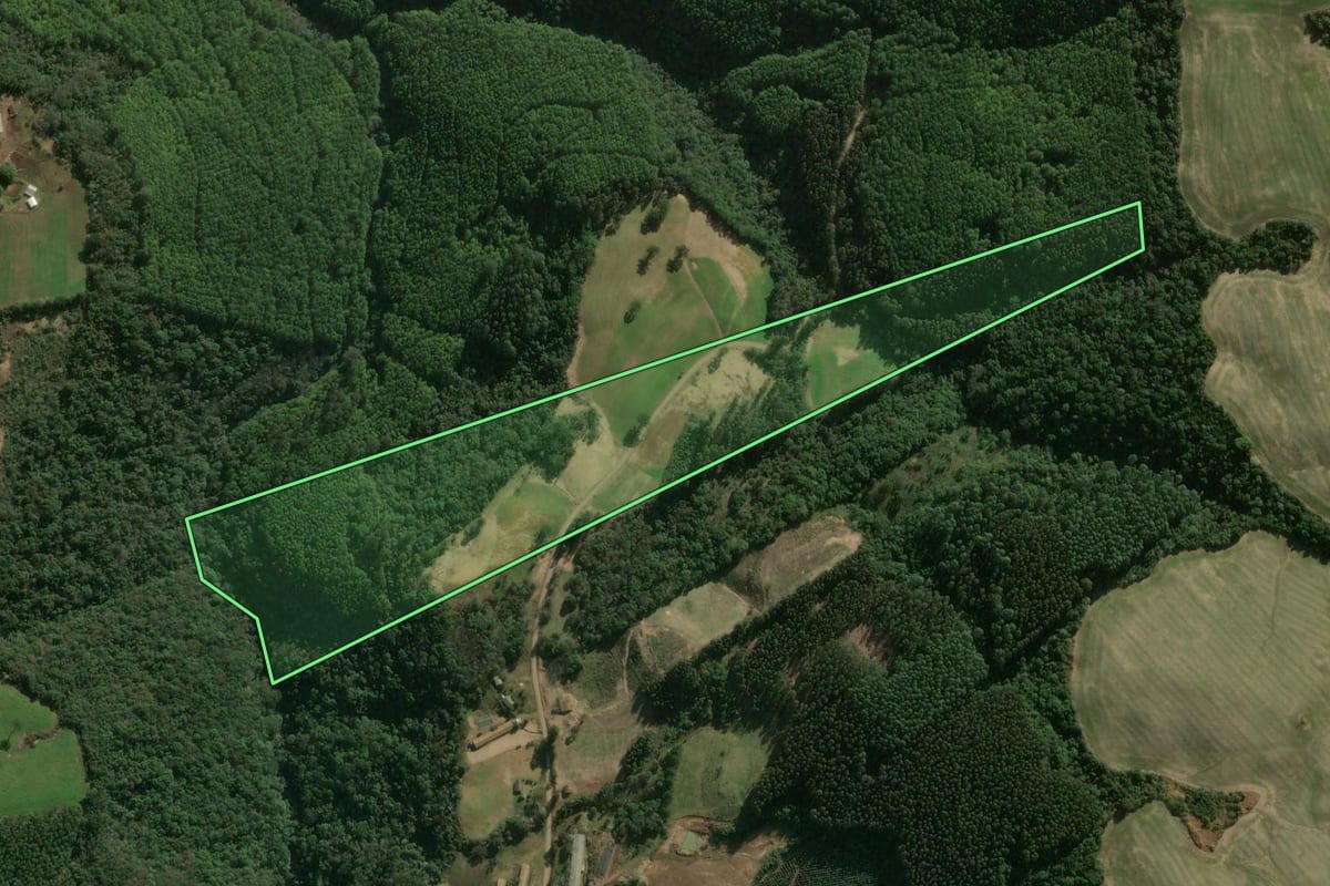Imagem de satélite do imóvel rural em Ipumirim (SC), com o contorno declarado no CAR desenhado por cima.