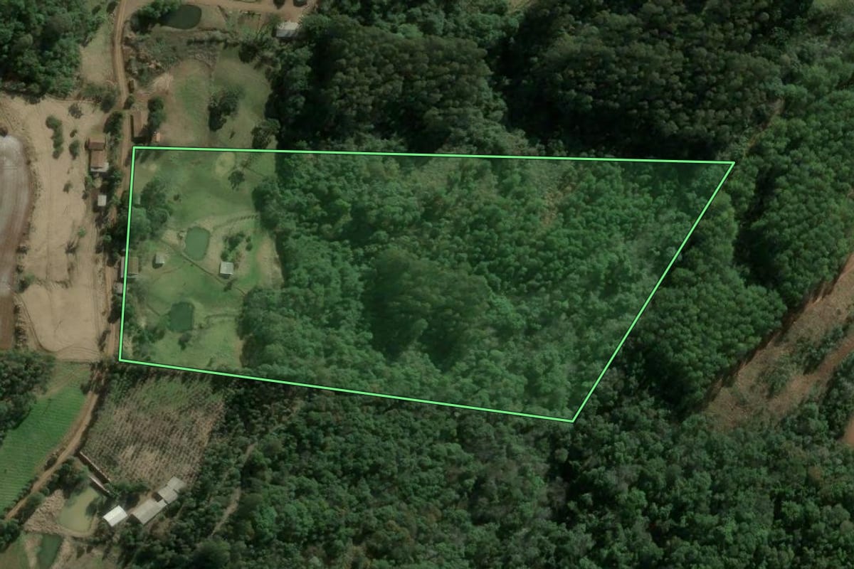 Imagem de satélite do imóvel rural em Ipumirim (SC), com o contorno declarado no CAR desenhado por cima.
