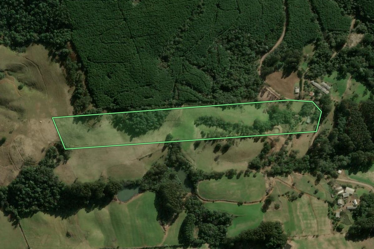 Imagem de satélite do imóvel rural em Ipumirim (SC), com o contorno declarado no CAR desenhado por cima.