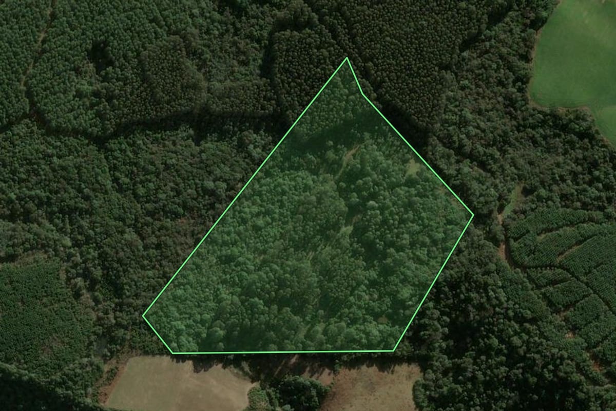 Imagem de satélite do imóvel rural em Ipumirim (SC), com o contorno declarado no CAR desenhado por cima.