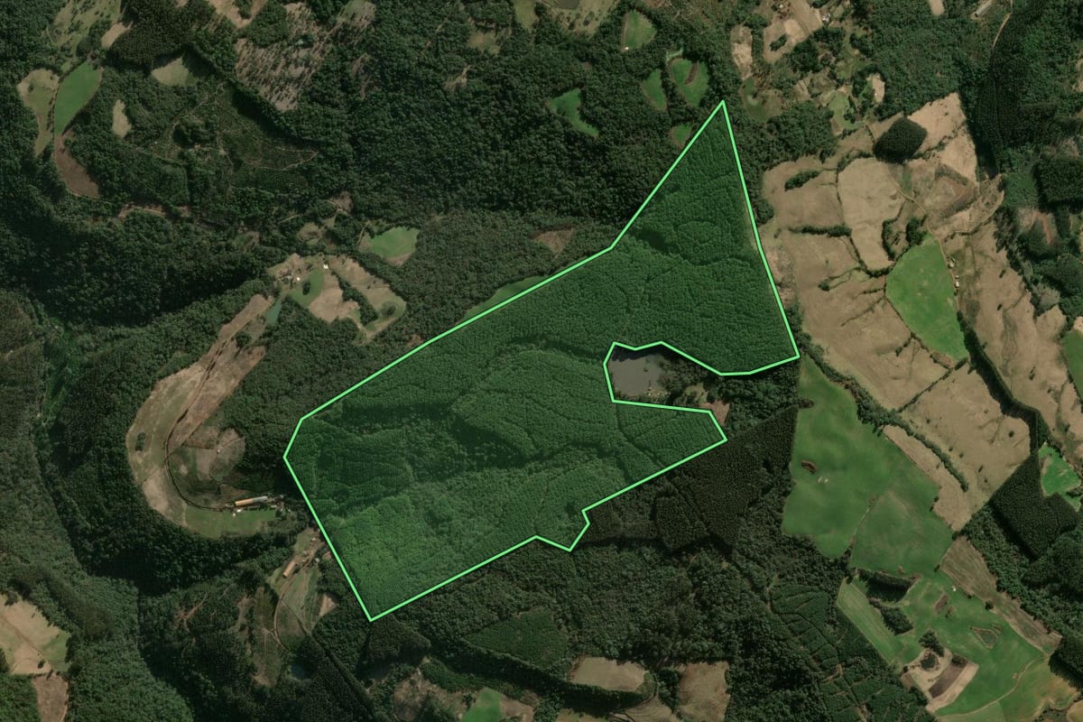 Imagem de satélite do imóvel rural em Ipumirim (SC), com o contorno declarado no CAR desenhado por cima.