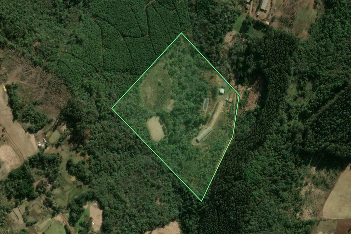 Imagem de satélite do imóvel rural em Ipumirim (SC), com o contorno declarado no CAR desenhado por cima.