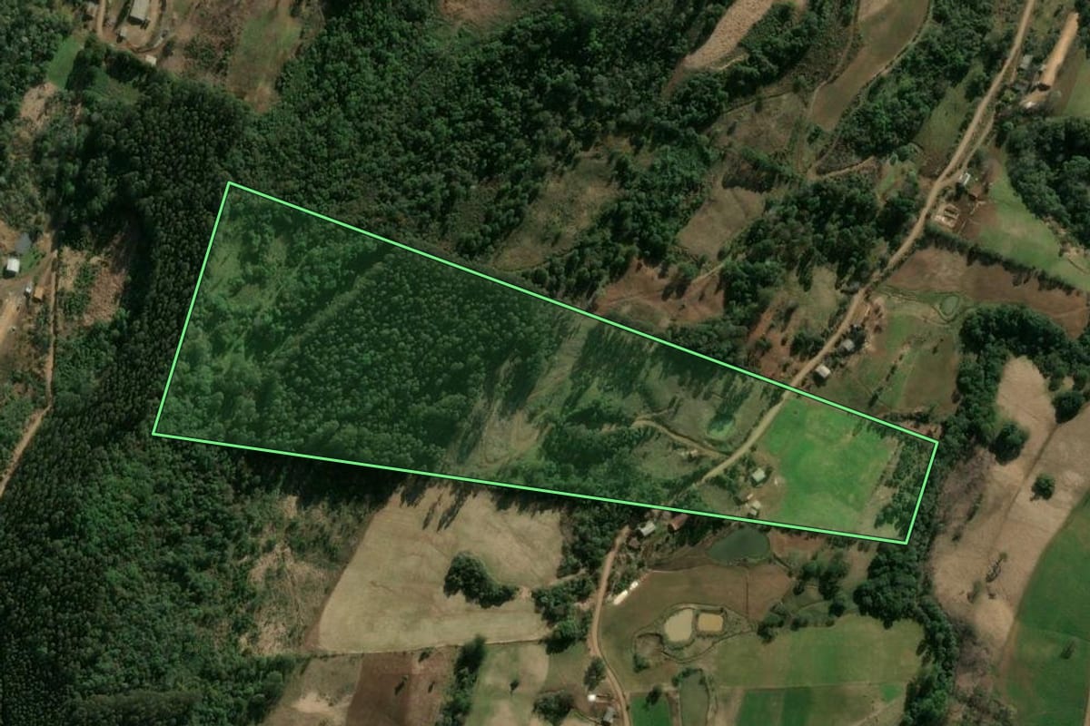 Imagem de satélite do imóvel rural em Ipumirim (SC), com o contorno declarado no CAR desenhado por cima.