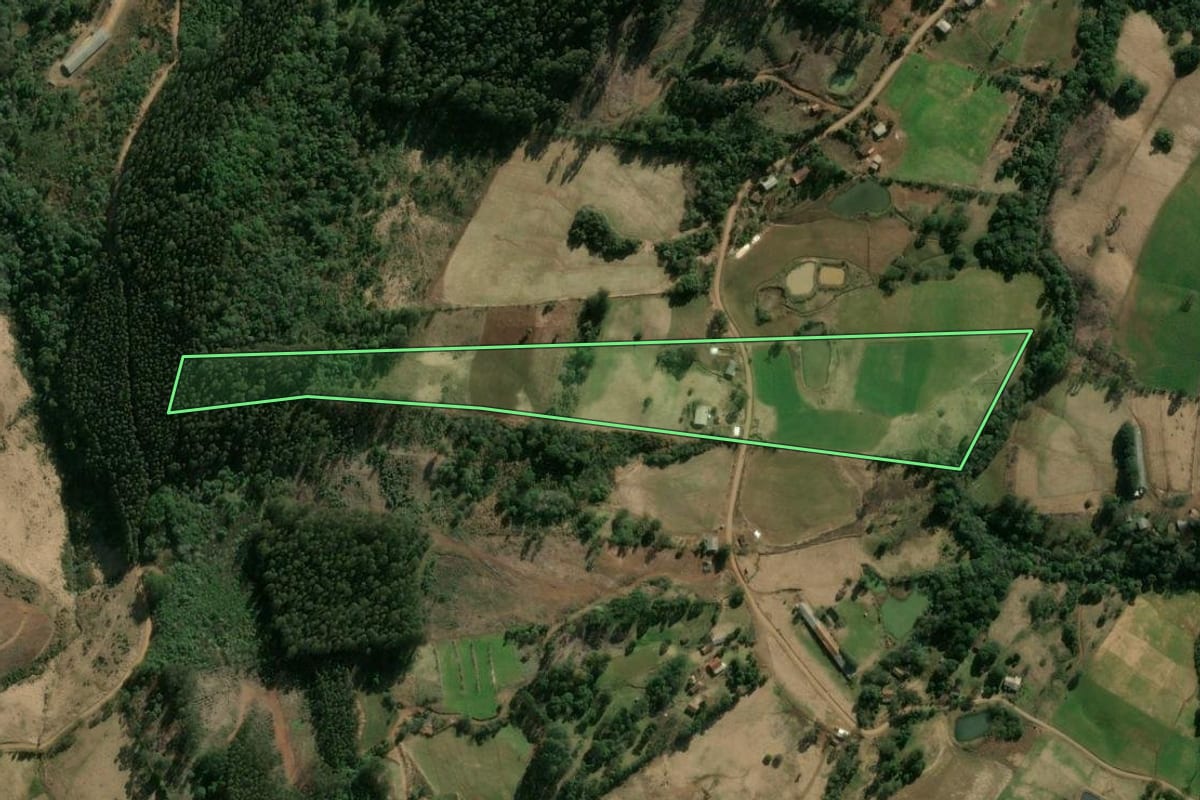 Imagem de satélite do imóvel rural em Ipumirim (SC), com o contorno declarado no CAR desenhado por cima.