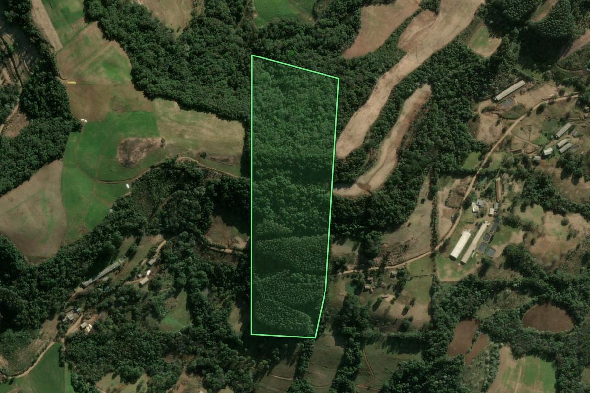 Imagem de satélite do imóvel rural em Ipumirim (SC), com o contorno declarado no CAR desenhado por cima.