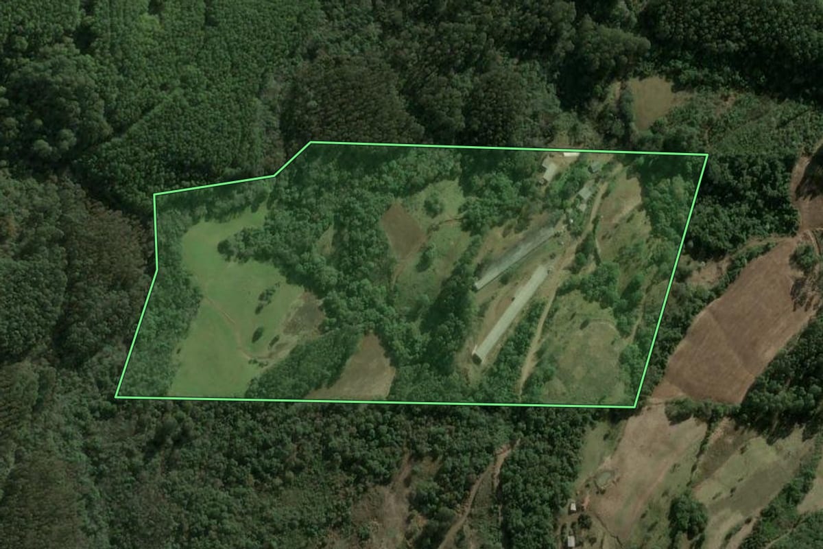 Imagem de satélite do imóvel rural em Ipumirim (SC), com o contorno declarado no CAR desenhado por cima.