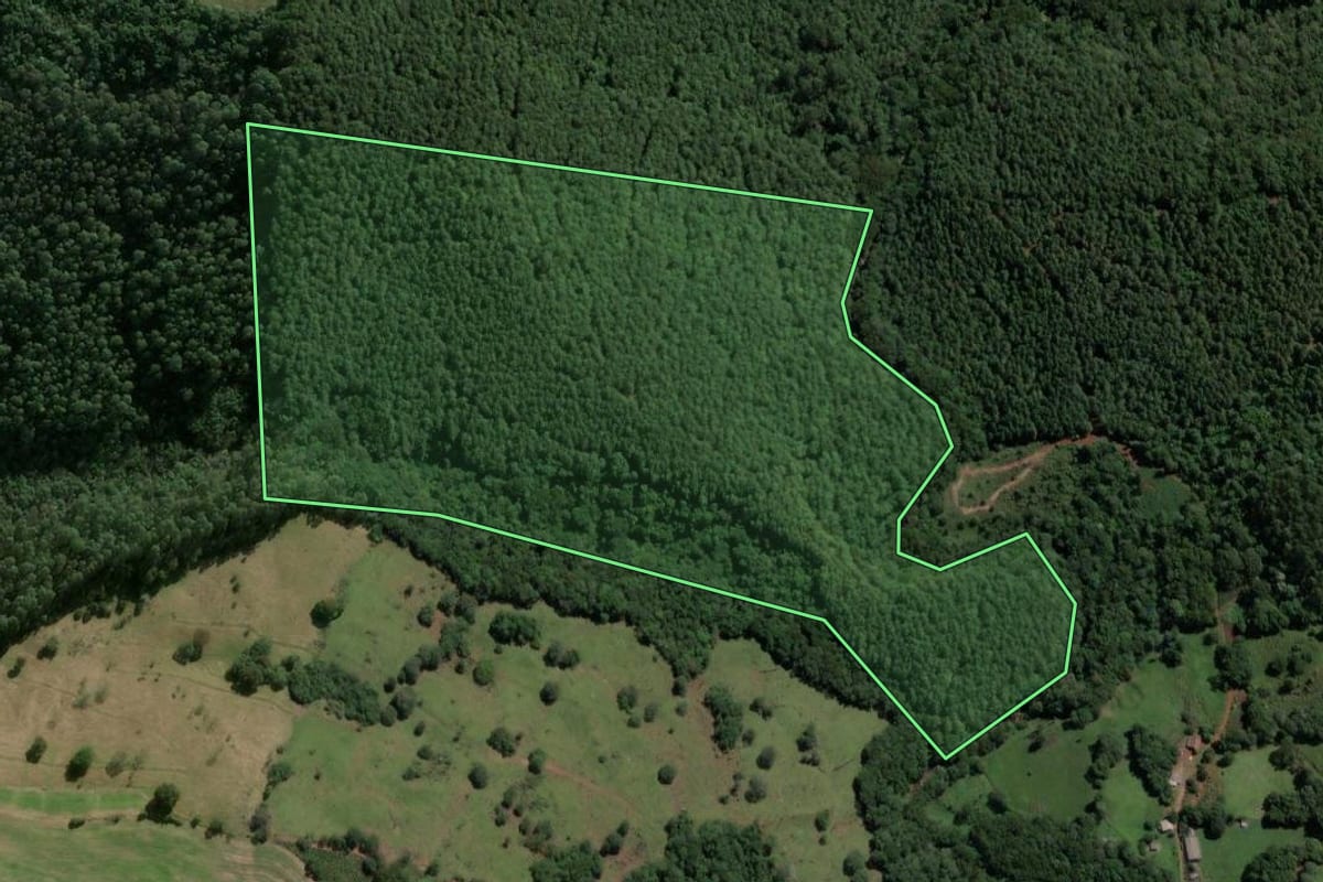 Imagem de satélite do imóvel rural em Ipumirim (SC), com o contorno declarado no CAR desenhado por cima.