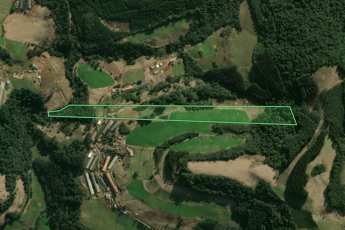 Imagem de satélite do imóvel rural em Ipumirim (SC), com o contorno declarado no CAR desenhado por cima.