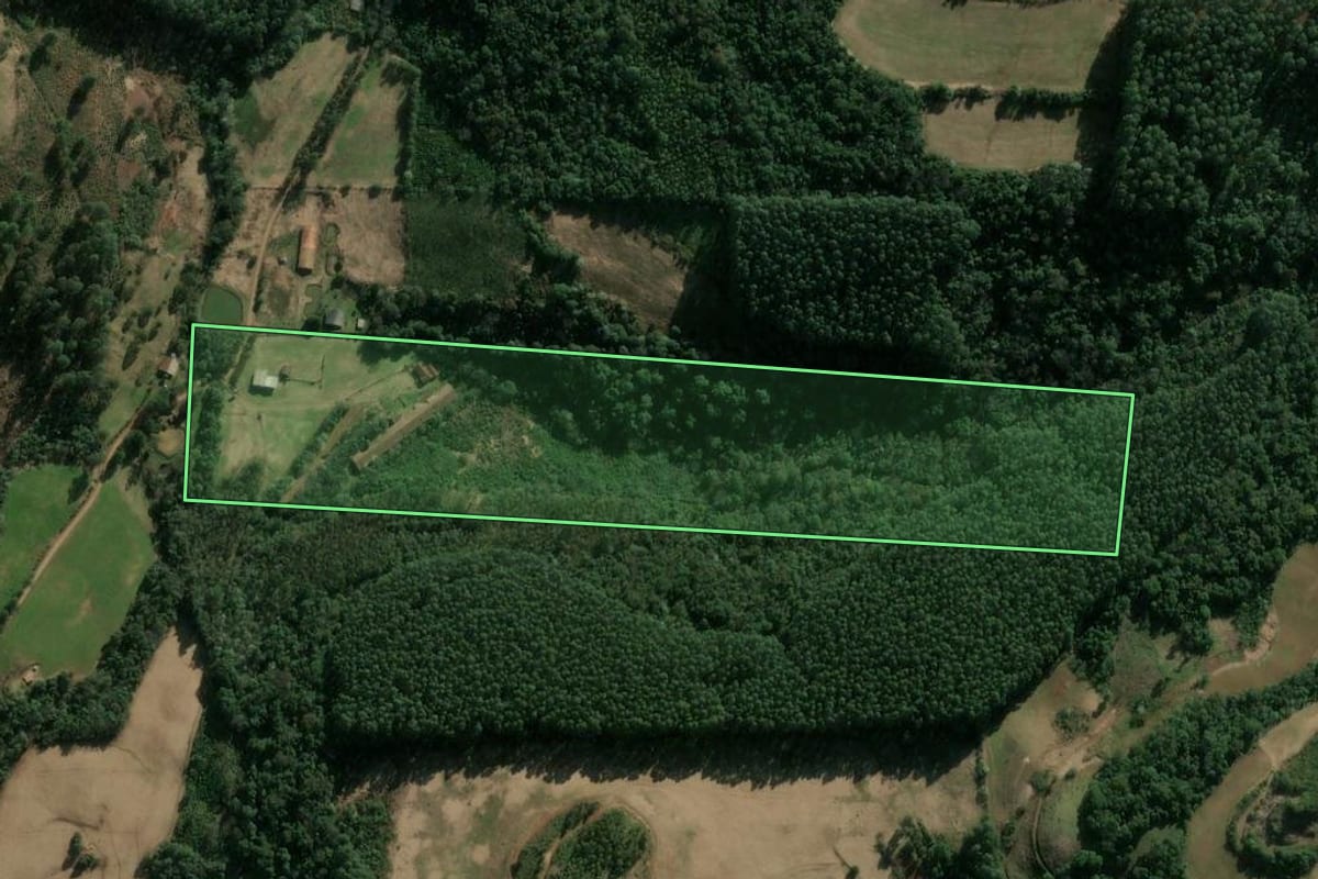 Imagem de satélite do imóvel rural em Ipumirim (SC), com o contorno declarado no CAR desenhado por cima.