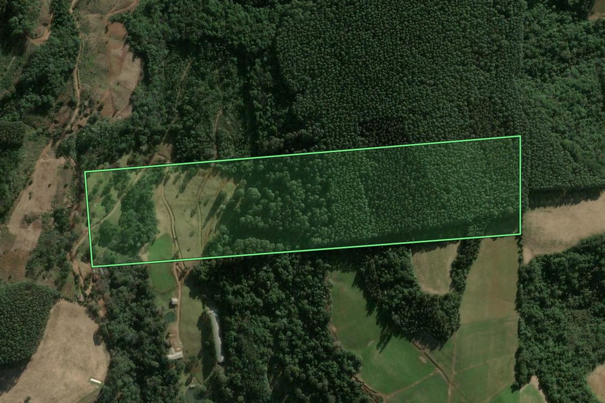 Imagem de satélite do imóvel rural em Ipumirim (SC), com o contorno declarado no CAR desenhado por cima.