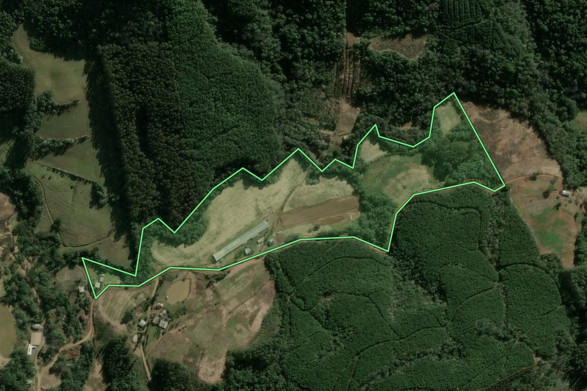 Imagem de satélite do imóvel rural em Ipumirim (SC), com o contorno declarado no CAR desenhado por cima.