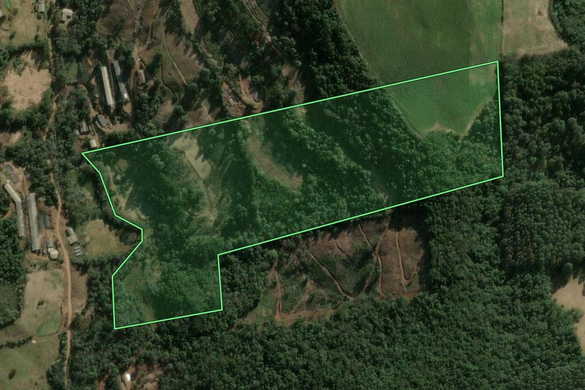Imagem de satélite do imóvel rural em Ipumirim (SC), com o contorno declarado no CAR desenhado por cima.