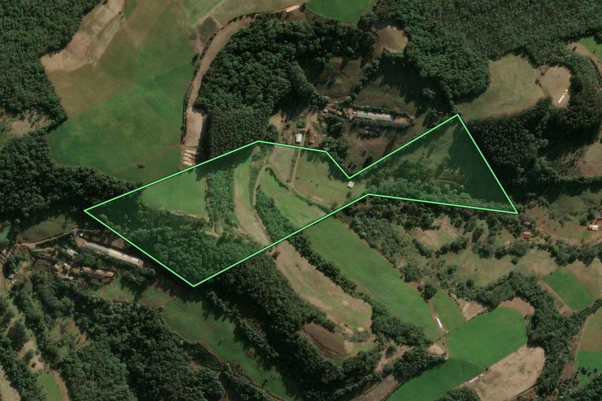 Imagem de satélite do imóvel rural em Ipumirim (SC), com o contorno declarado no CAR desenhado por cima.