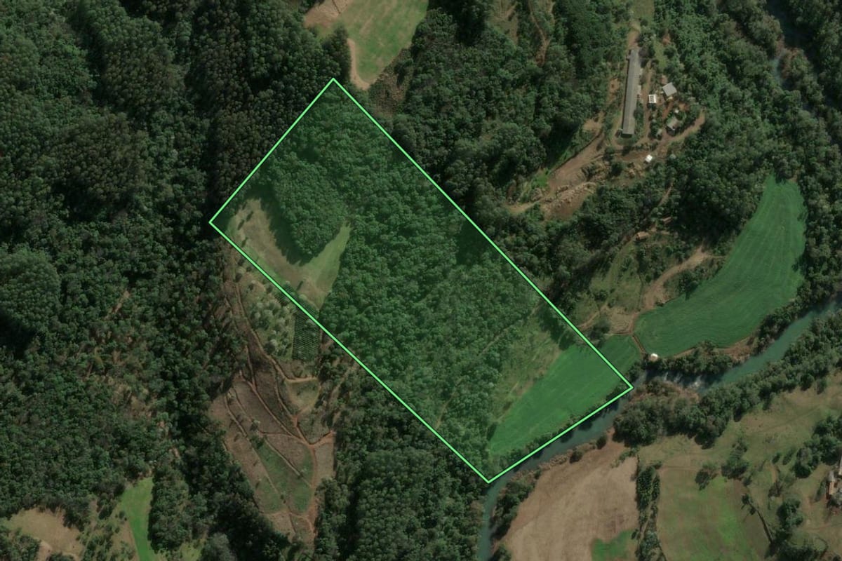 Imagem de satélite do imóvel rural em Ipumirim (SC), com o contorno declarado no CAR desenhado por cima.