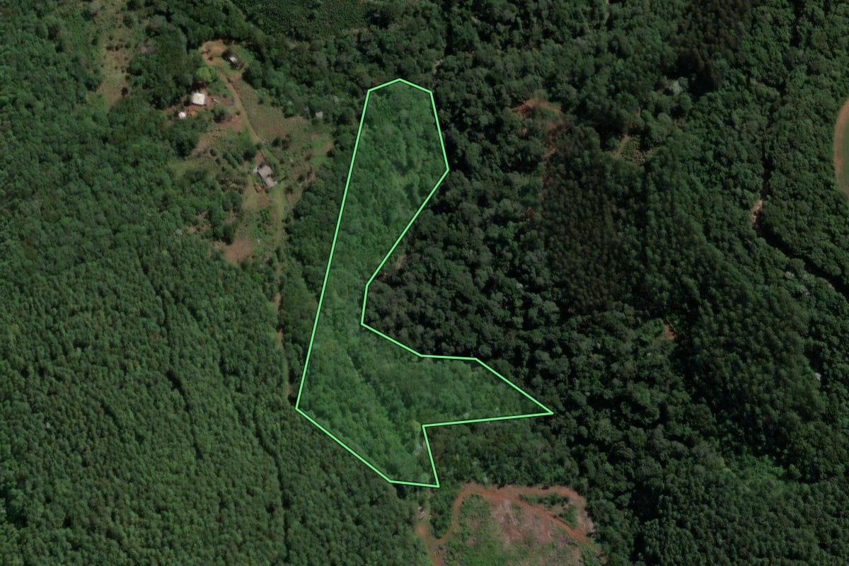 Imagem de satélite do imóvel rural em Ipumirim (SC), com o contorno declarado no CAR desenhado por cima.