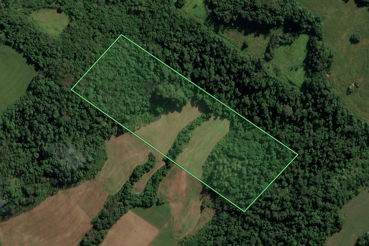 Imagem de satélite do imóvel rural em Iraceminha (SC), com o contorno declarado no CAR desenhado por cima.