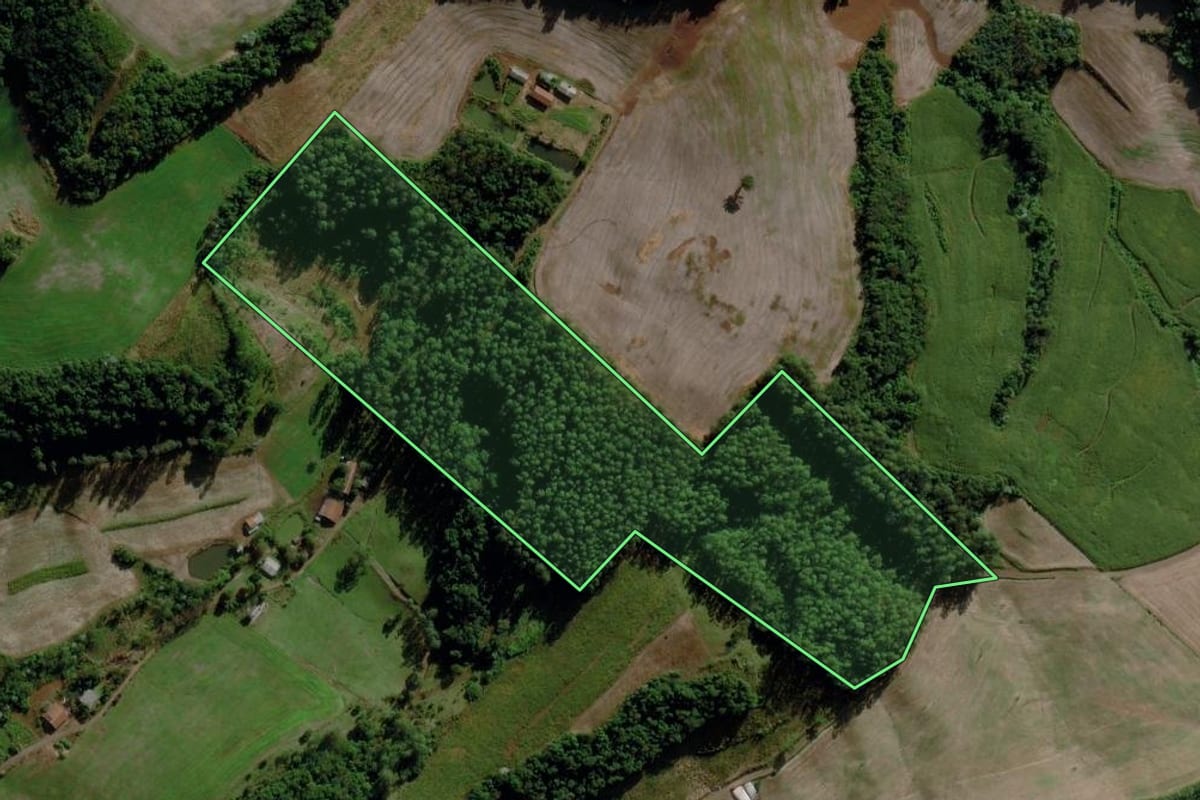 Imagem de satélite do imóvel rural em Iraceminha (SC), com o contorno declarado no CAR desenhado por cima.