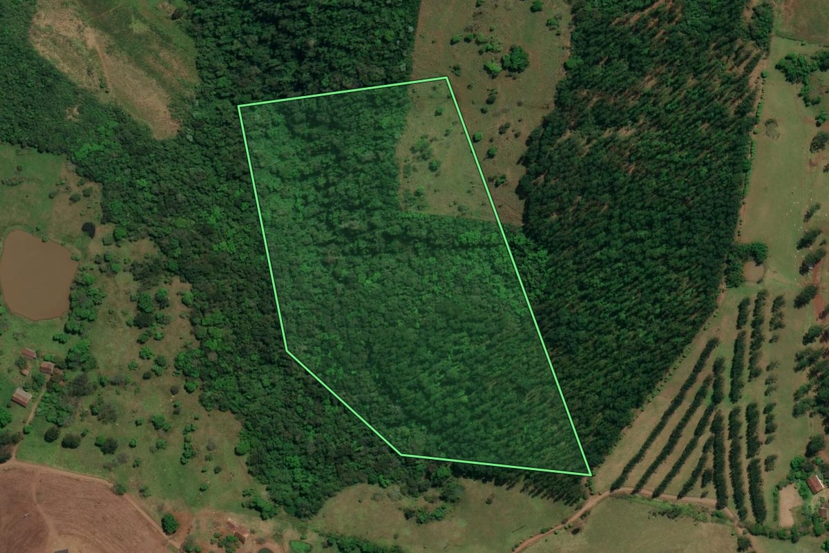 Imagem de satélite do imóvel rural em Iraceminha (SC), com o contorno declarado no CAR desenhado por cima.