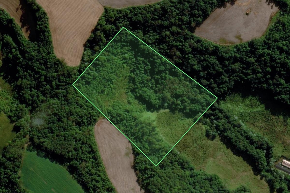 Imagem de satélite do imóvel rural em Iraceminha (SC), com o contorno declarado no CAR desenhado por cima.