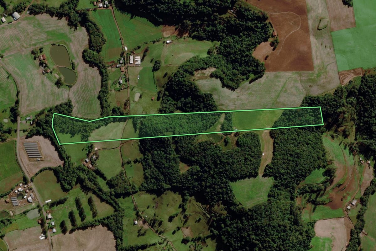 Imagem de satélite do imóvel rural em Iraceminha (SC), com o contorno declarado no CAR desenhado por cima.