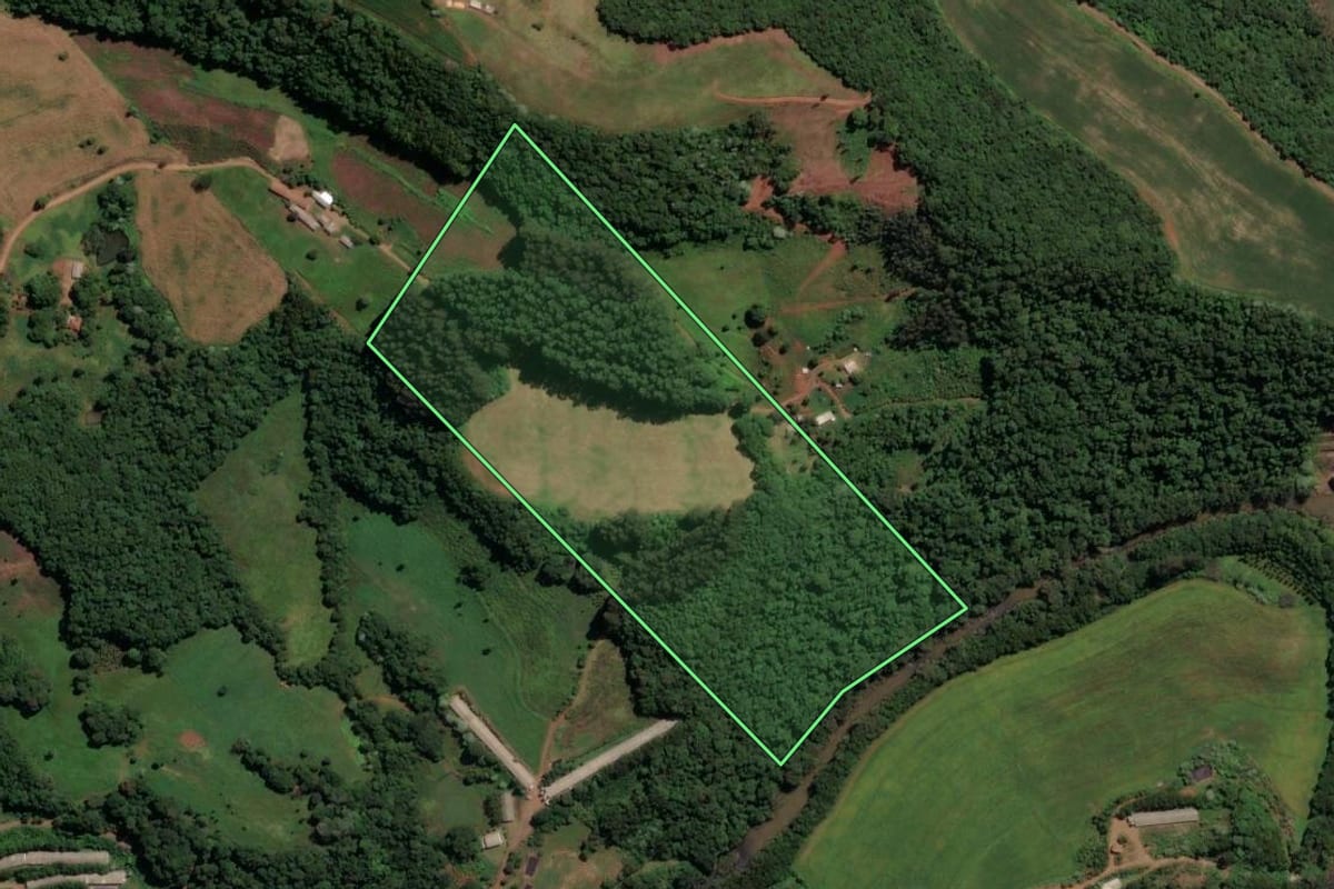 Imagem de satélite do imóvel rural em Irani (SC), com o contorno declarado no CAR desenhado por cima.