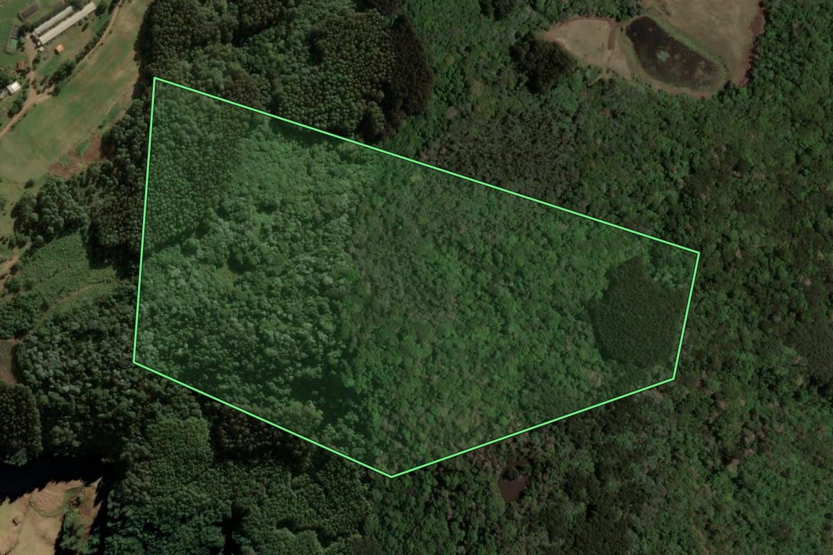 Imagem de satélite do imóvel rural em Irani (SC), com o contorno declarado no CAR desenhado por cima.